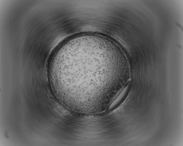 X0000097511022200803071820