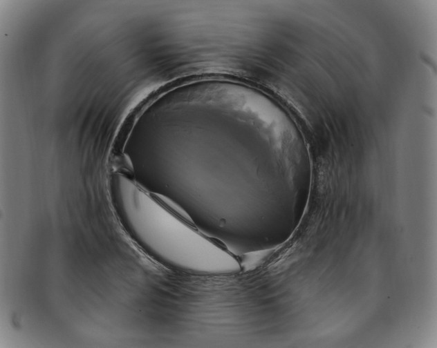 X0000097511024200803071820