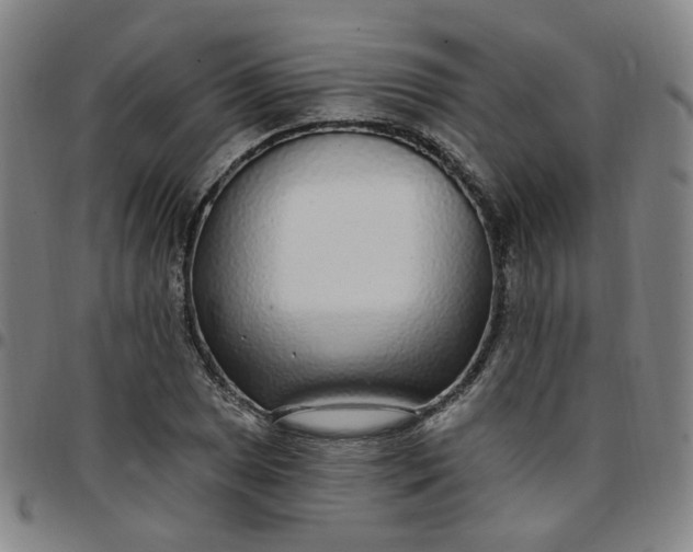 X0000097511025200803071820