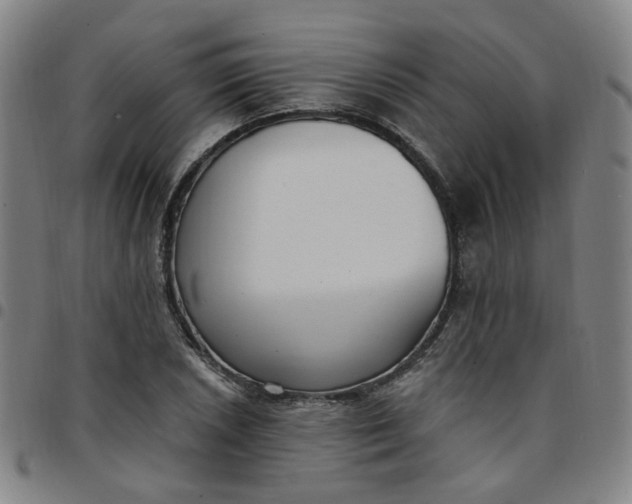 X0000097511026200803071820