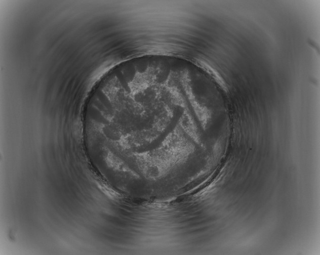 X0000097511027200803071820