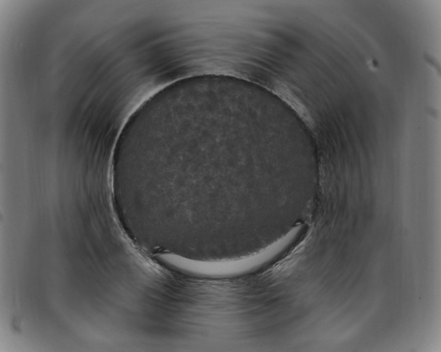 X0000097511028200803071820