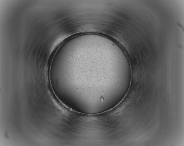 X0000097511030200803071820