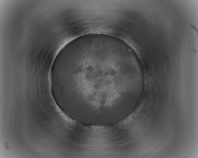 X0000097511032200803071820