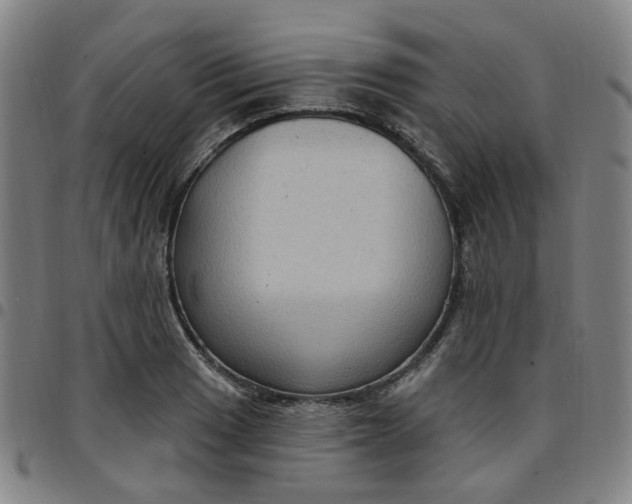 X0000097511033200803071820