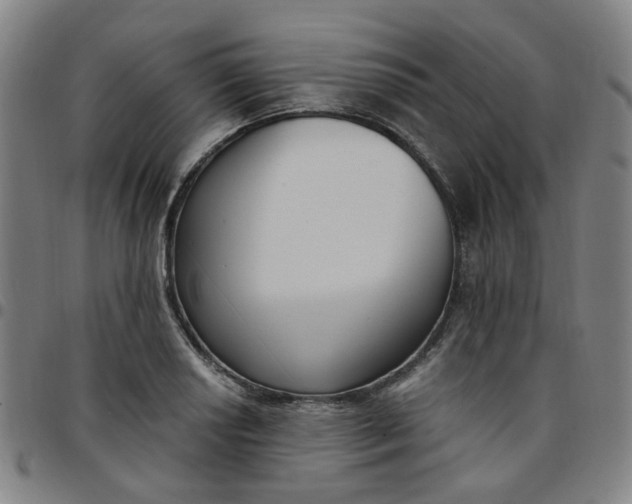 X0000097511034200803071820