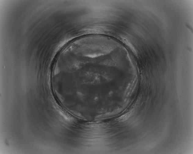 X0000097511035200803071820