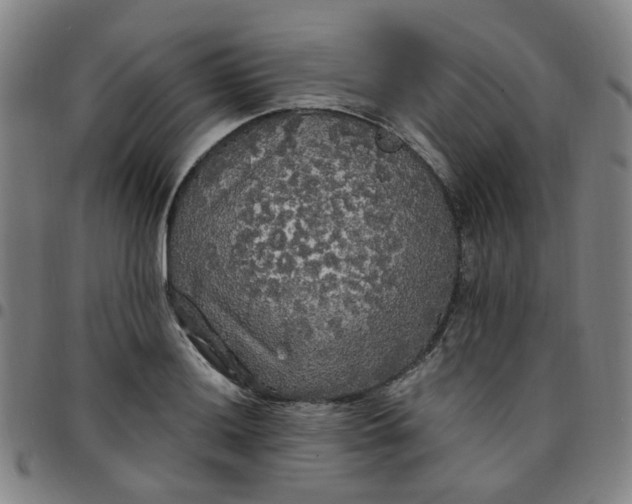 X0000097511036200803071820