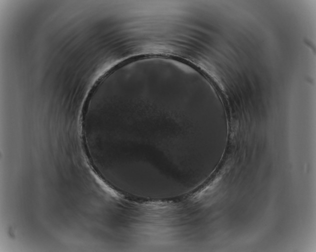 X0000097511037200803071820