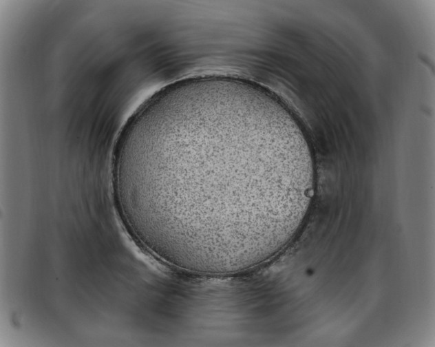 X0000097511038200803071820