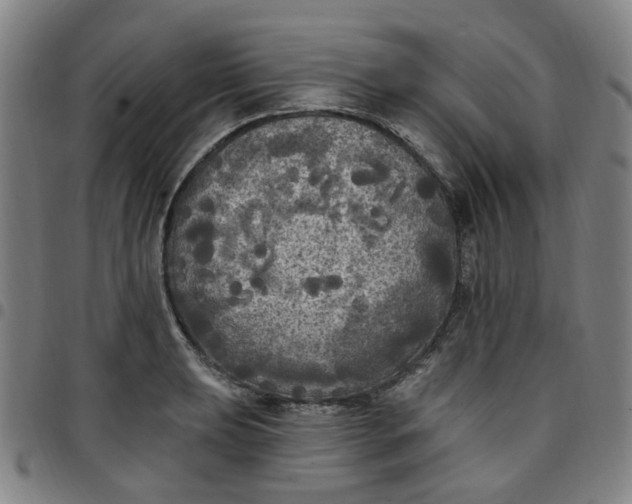 X0000097511039200803071820