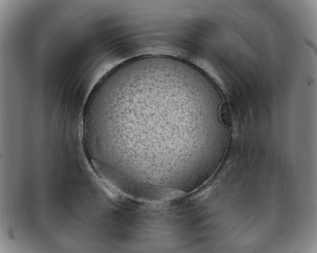 X0000097511040200803071820