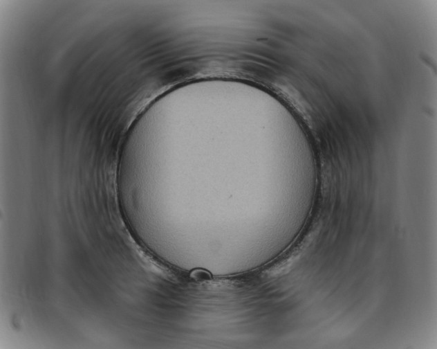 X0000097511041200803071820