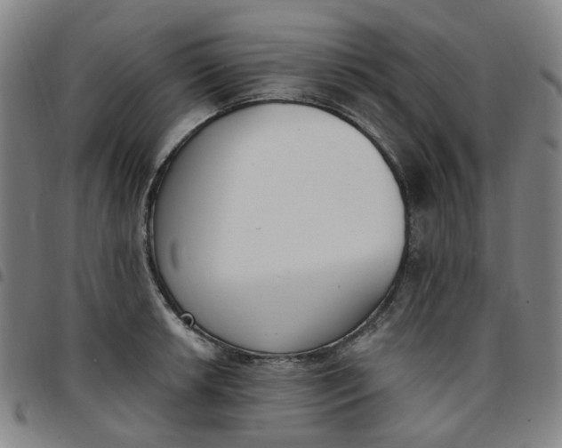 X0000097511042200803071820