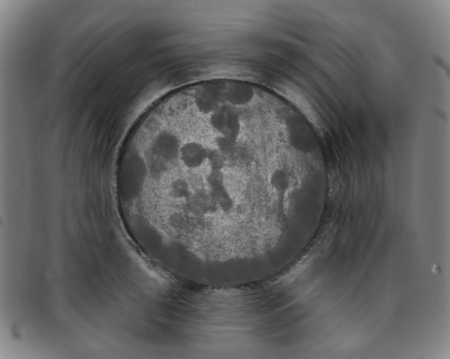 X0000097511043200803071820