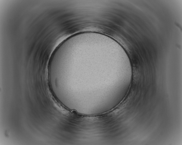 X0000097511044200803071820