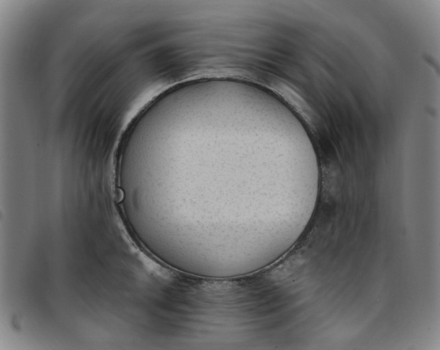 X0000097511046200803071820