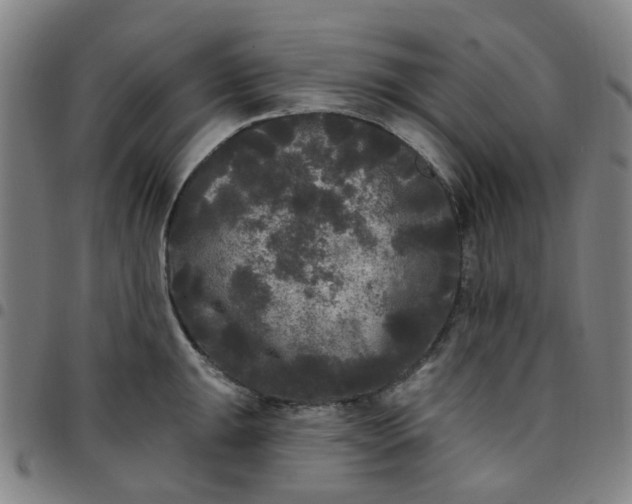 X0000097511047200803071820