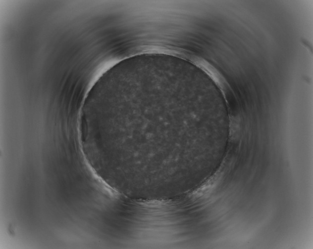 X0000097511048200803071820