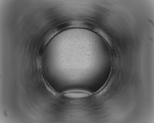 X0000097511049200803071820