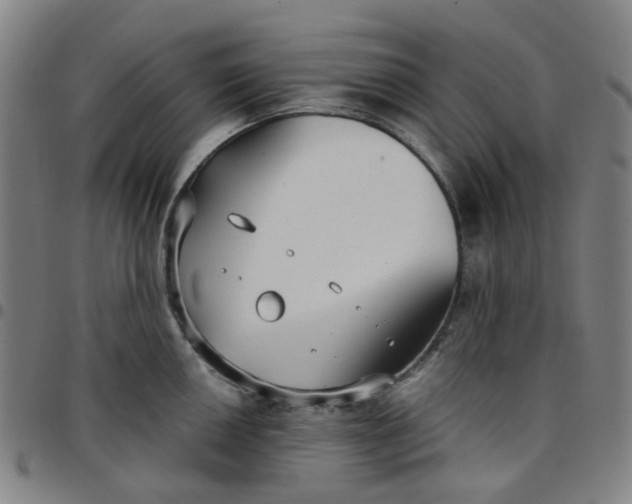 X0000097511050200803071820