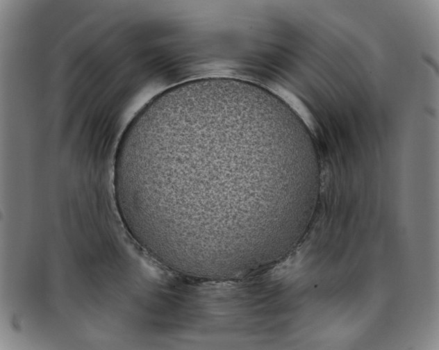 X0000097511051200803071820