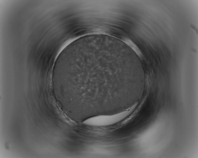 X0000097511052200803071820