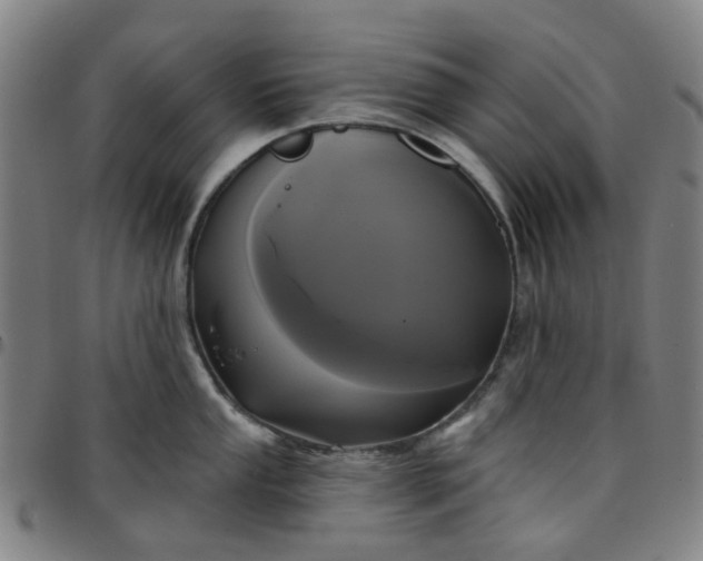 X0000097511053200803071820