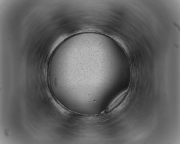 X0000097511054200803071820