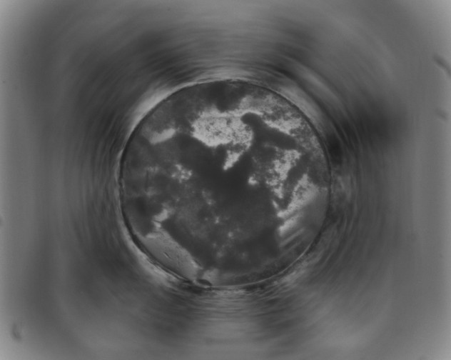 X0000097511055200803071820