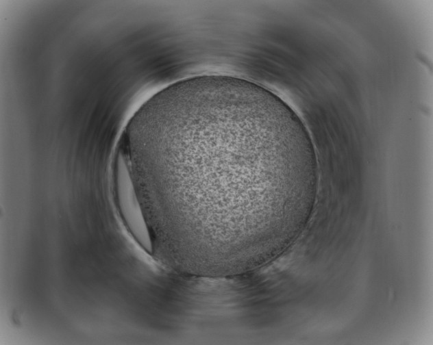 X0000097511056200803071820