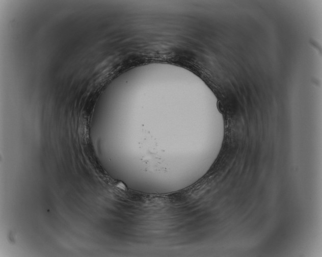 X0000097511058200803071819