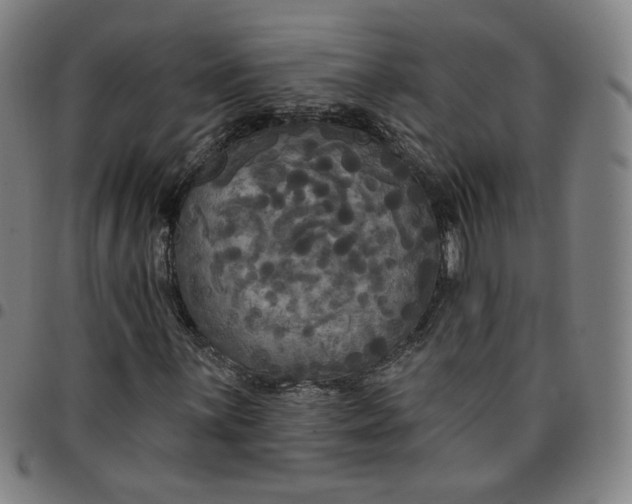 X0000097511059200803071819