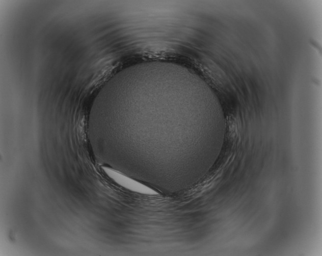 X0000097511060200803071819