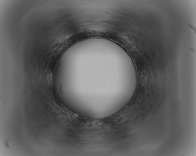 X0000097511061200803071819