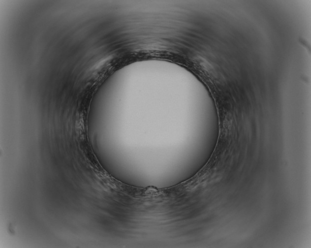 X0000097511062200803071819