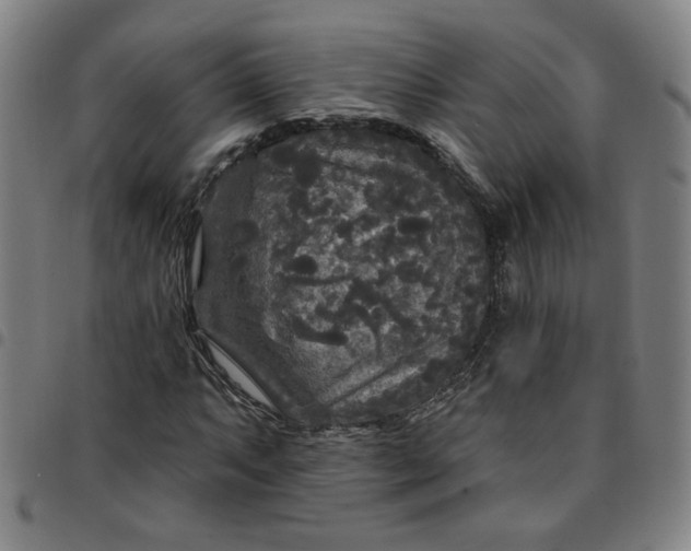 X0000097511063200803071819