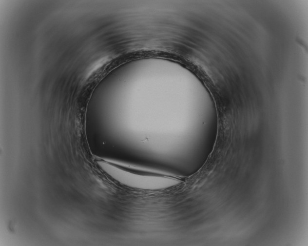 X0000097511064200803071819