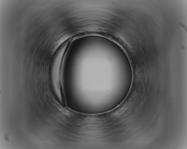 X0000097511065200803071819