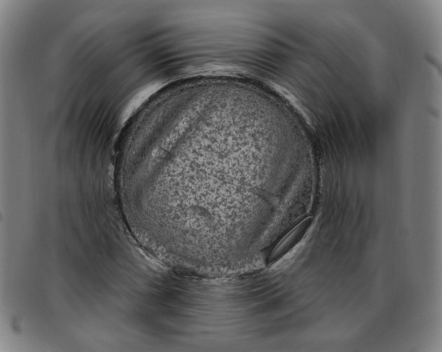 X0000097511066200803071819