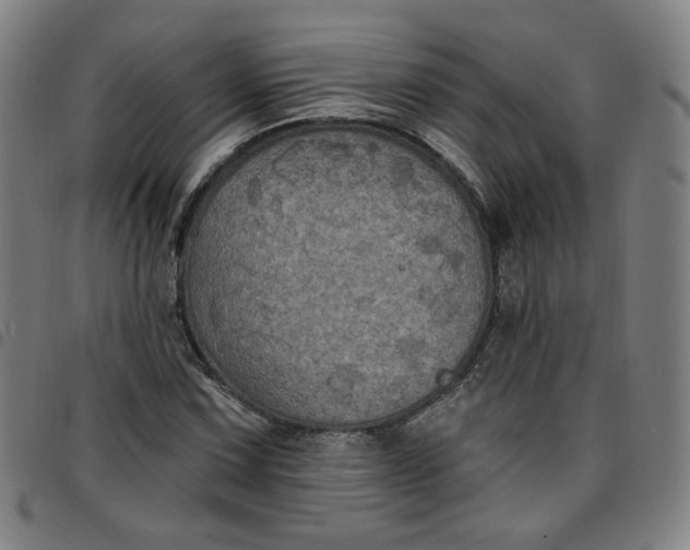 X0000097511067200803071819