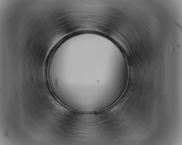 X0000097511068200803071819