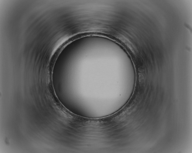 X0000097511069200803071819