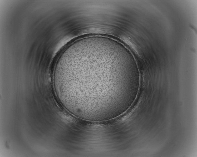 X0000097511070200803071819