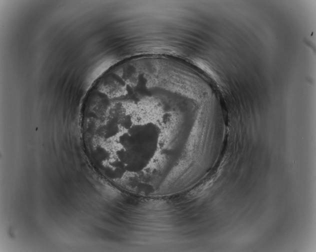 X0000097511071200803071819