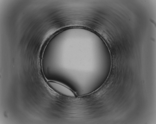 X0000097511072200803071819