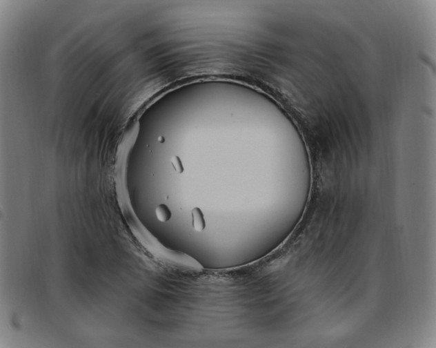 X0000097511073200803071819