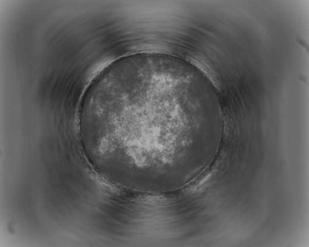 X0000097511074200803071819