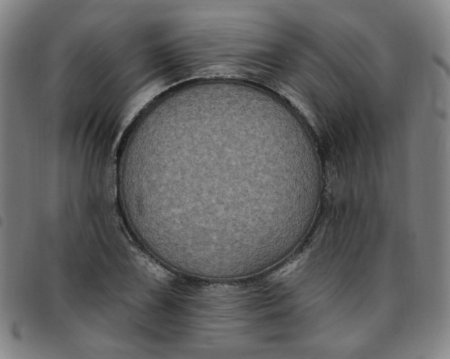 X0000097511075200803071819