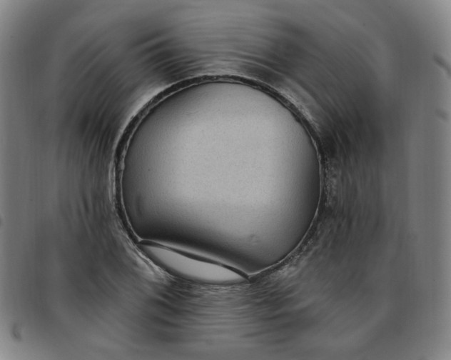 X0000097511076200803071819